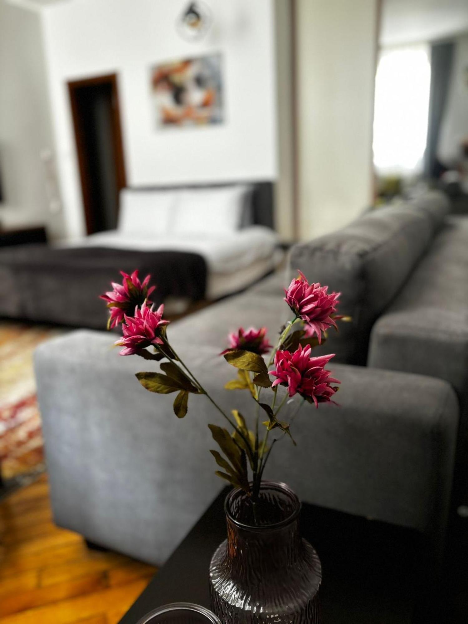 Apartment Mila Sarajevo Ngoại thất bức ảnh